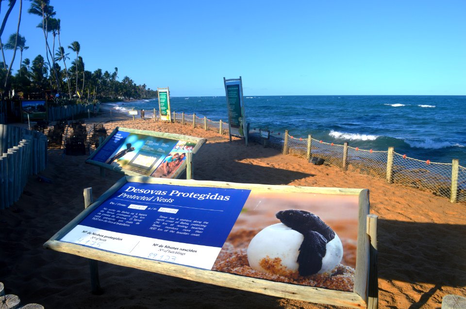 Gleidson Santos - Praia do Forte Projeto Tamar Mata de Sao Joao BA
