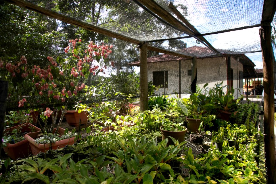 GustavoLouzada ReservaNaturalVale Linhares ES