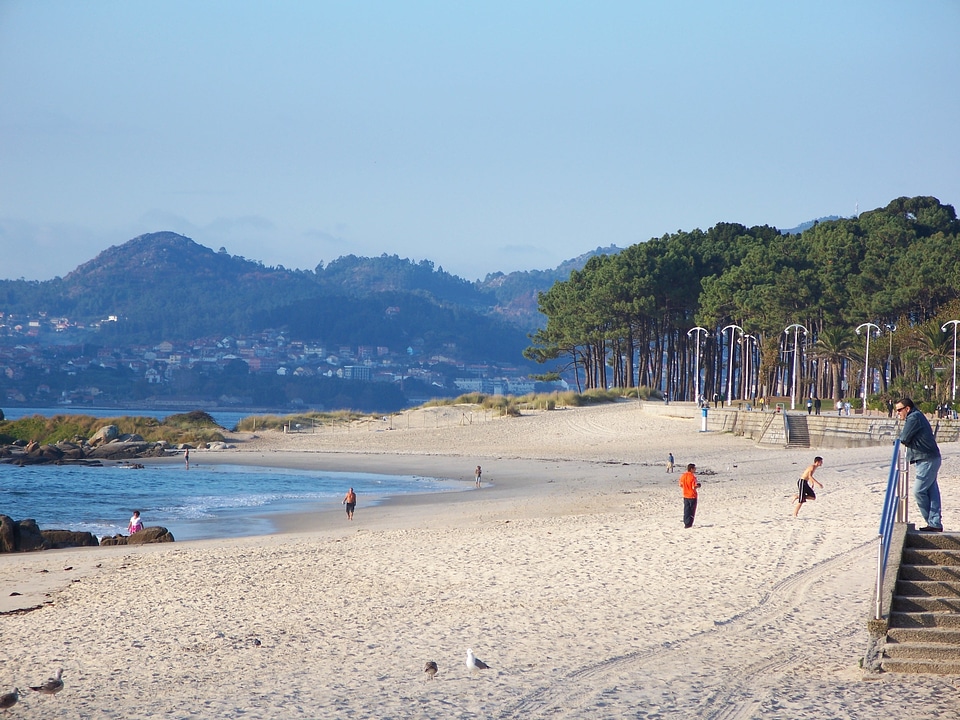 Sandy trees mountains