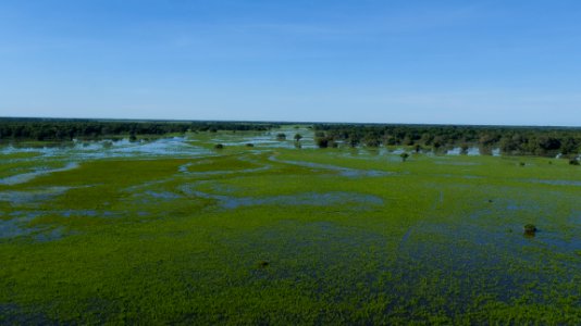 Flavio Andre Pantanal Vista aerea Pocone MT