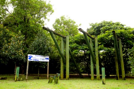 DanielVianna Parque Nacional Rio da Onca Matinhos PR