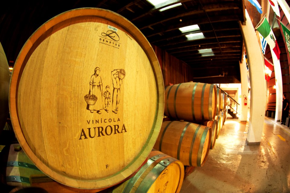 Renato Soares Vinicola Aurora Bento Goncalves RS