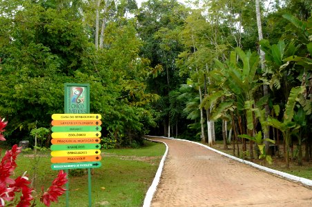 Marcos Vicentti Trilha Parque Chico Mendes Rio Branco AC