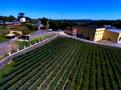 Renato Soares Vale Trentino  Casa Perini Caxias do Sul Farroupilha RS