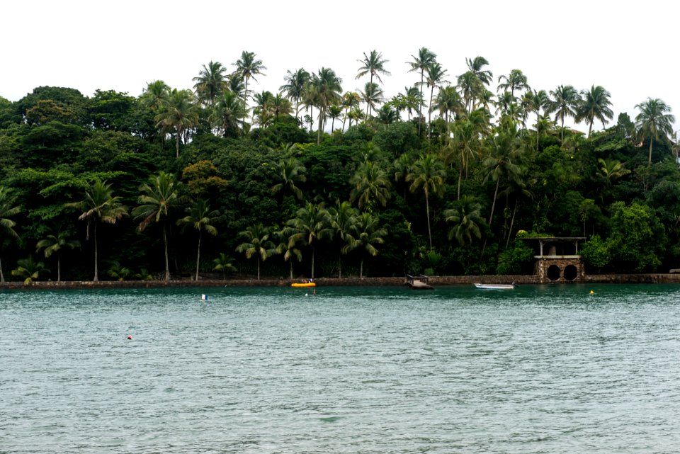 MaristelaColucci IlhaDasCabras Ilhabela SP