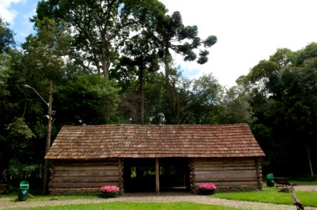 Renato Soares Bosque João Paulo II Curitiba PR 3 photo