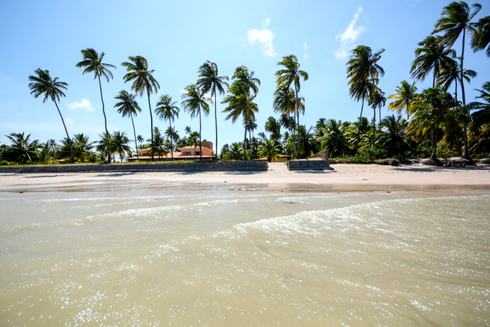 Marco Ankosqui Praia de Mangue Maragogi-AL