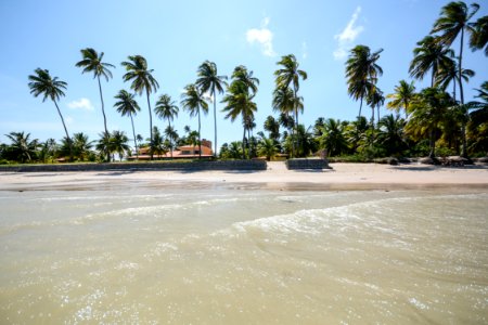 Marco Ankosqui Praia de Mangue Maragogi-AL photo