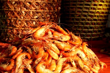MarciaDoCarmo Gastronomia Camarao na feira Macapa AP