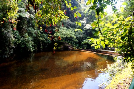 DeniseRicardo Parque Nacional Serra Dos Orgaos Teresopolis RJ photo