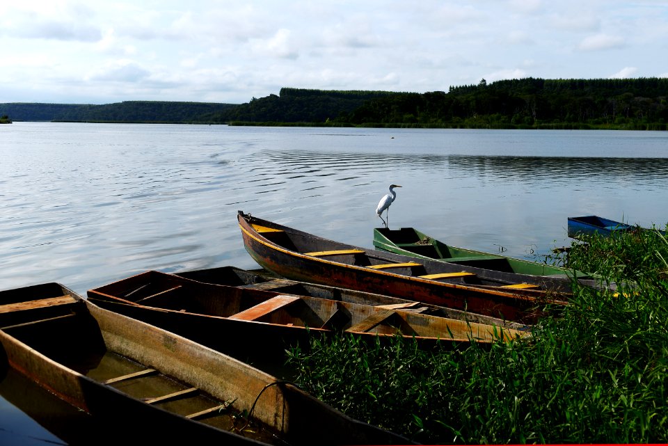 FernandoMadeira Lagoa do Juara Jacaraipe Serra ES