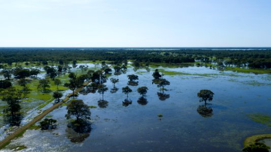 Flavio Andre Pantanal Vista aerea Pocone MT