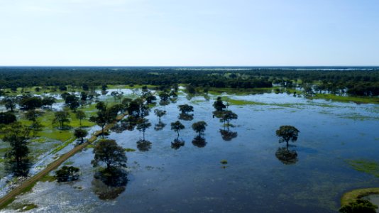 Flavio Andre Pantanal Vista aerea Pocone MT photo