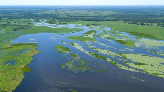 Flavio Andre Pantanal Vista aerea Pocone MT photo