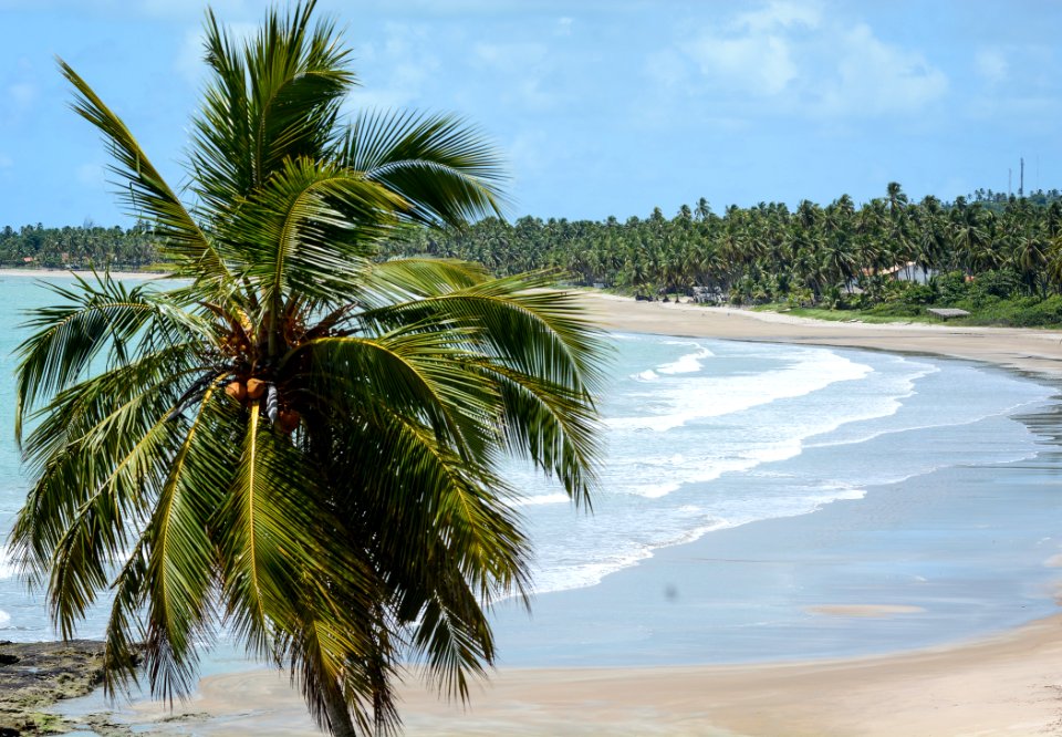 Marco Ankosqui Caminho Praia do Patacho São Miguel dos Milagres AL
