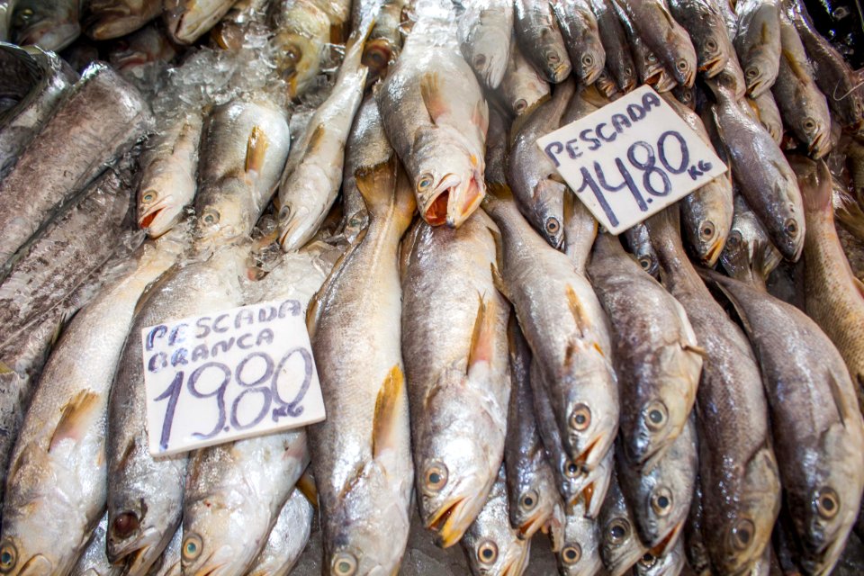 ROGERIO CASSIMIRO botique do peixe OCEAN PraiaGrande SP