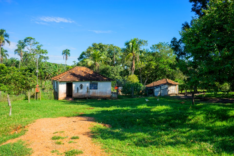 PabloRegino Comunidade Quilombola Do Cedro Mineiros GO