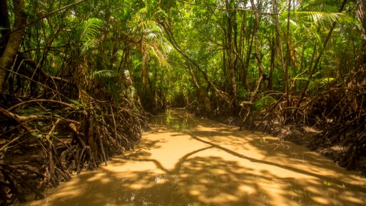 BrunaBrandao FuroDoMiguelao Salvaterra PA