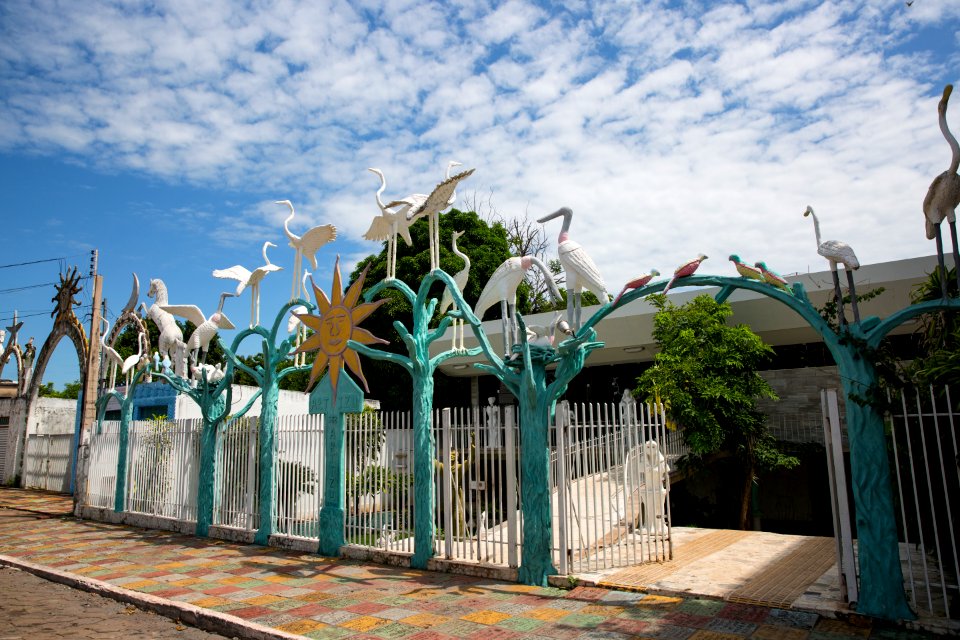 flavioandre Galeria Art izu Corumba MS