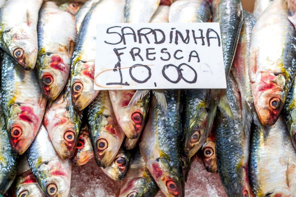 ROGERIO CASSIMIRO botique do peixe FORTE PraiaGrande SP