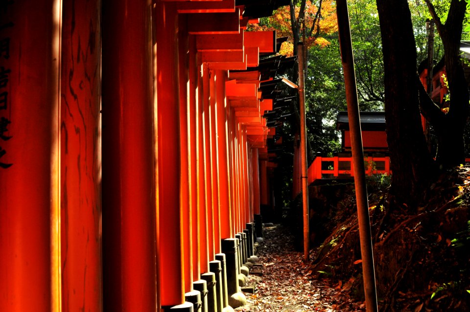 Kyoto