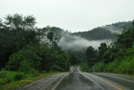 Mist & rain