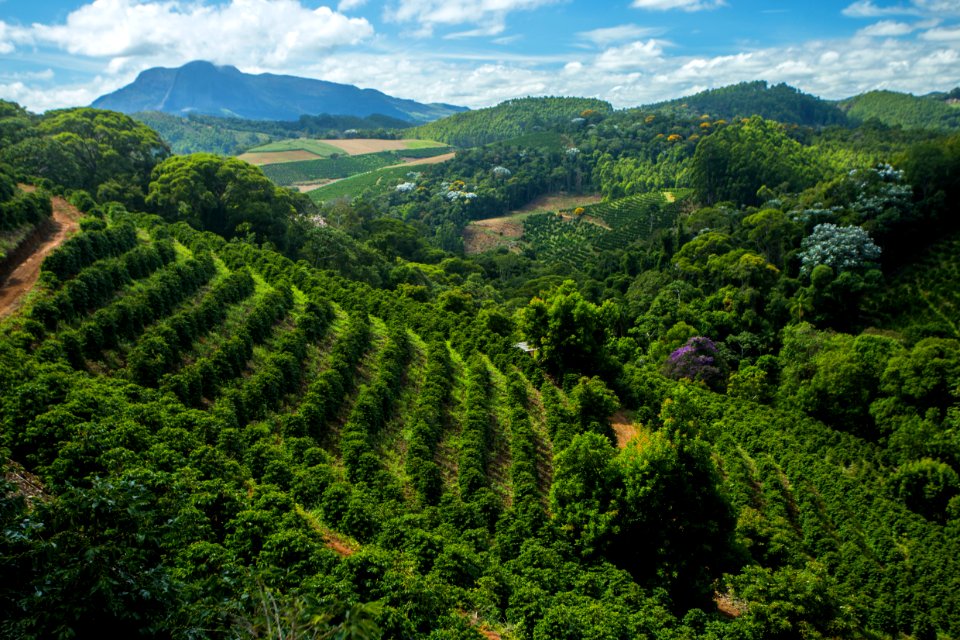 VitorJubini Agroturismo VendaNova ES