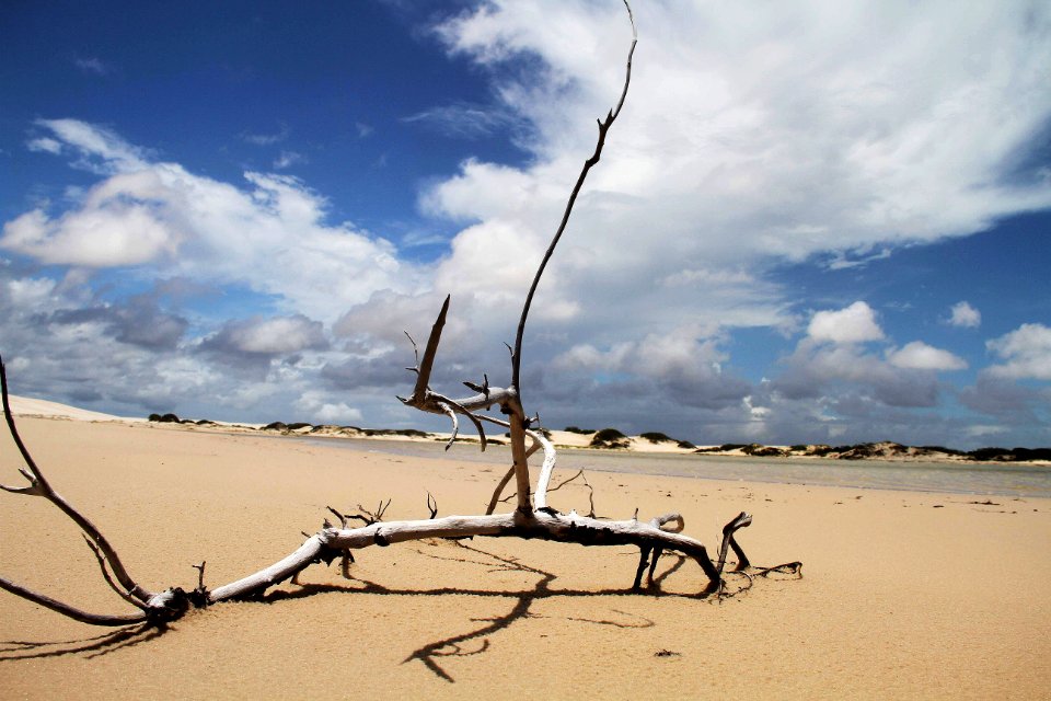 BIAMAN PRADO LAGOA DAS CABRAS SANTO AMARO DO MARANHÃO MA