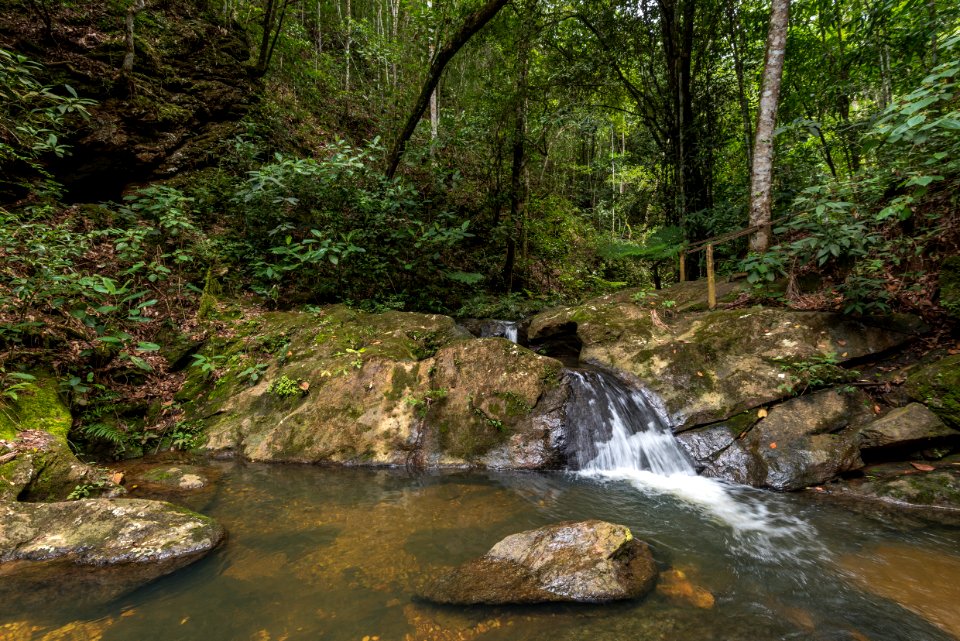 Augusto Miranda Santuario Vagafogo Pirenopolis GO