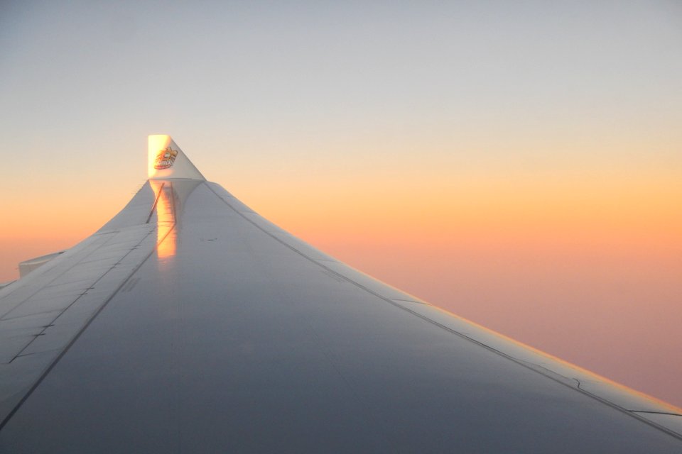 One day I'll fly away