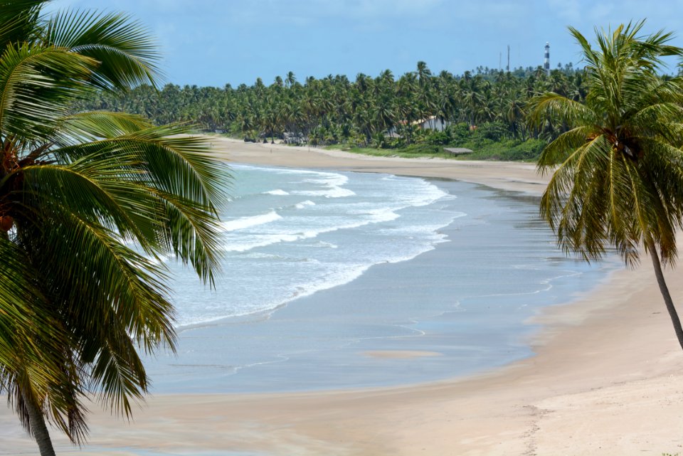 Marco Ankosqui Caminhos para Praia do Toque Sao Miguel Milagres-AL