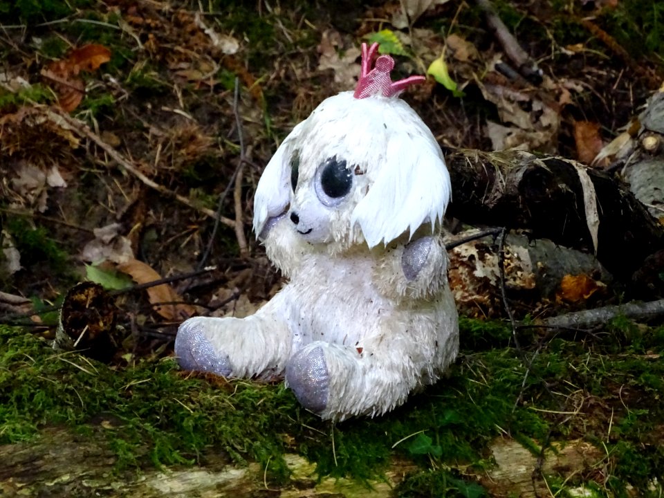 Abandoned toy in the Forest of Dean