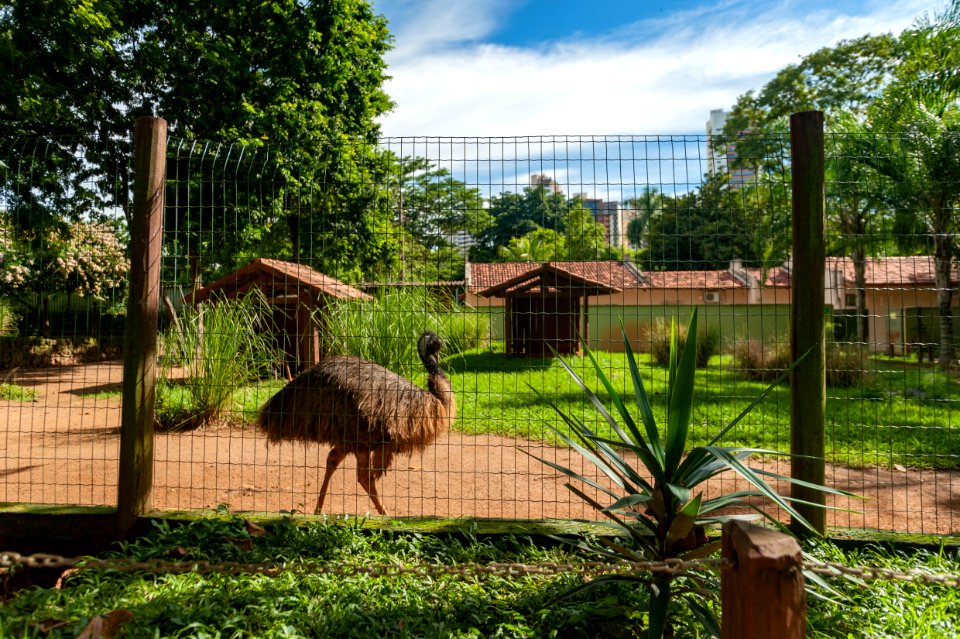 LeandroMoura JardimZoologico Goiania GO