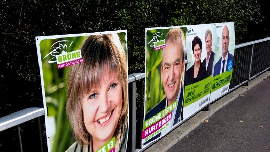Grüne oder Grünliberale?