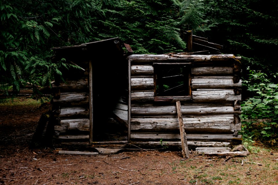forest-wood-building-home-shed-hut-shack-jungle-cabin-agriculture-life-woods-shelter-outhouse-beauty-scene-woodland-log-cabin-rural-area-707886