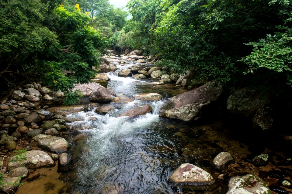 MaristelaColucci PraiadoBonete Ilhabela SP