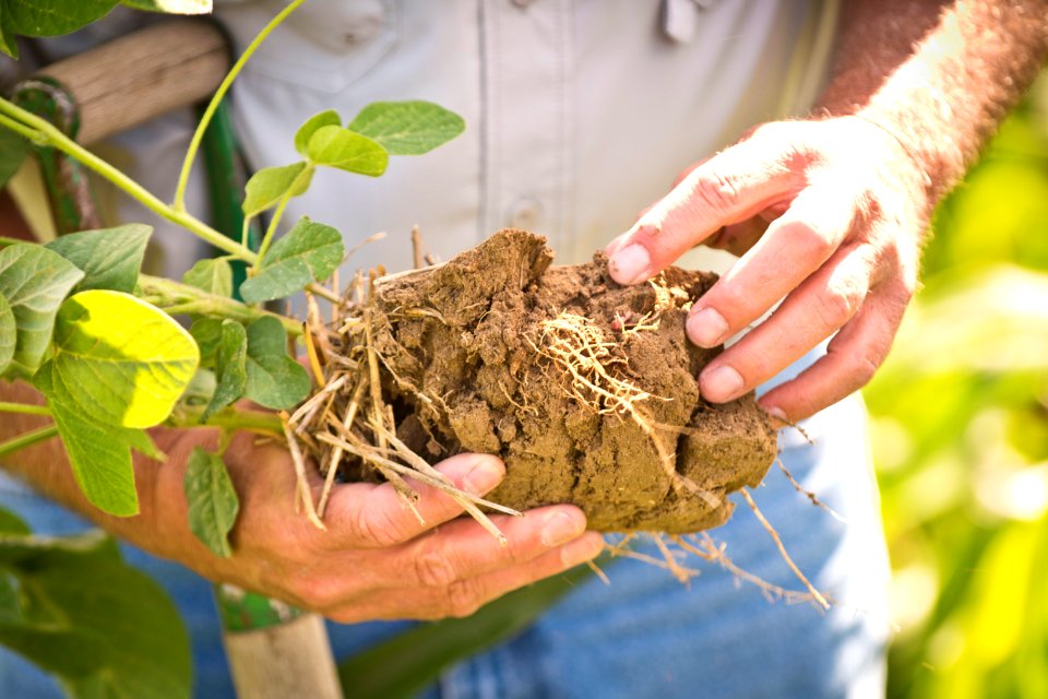 6585 NRCS projects.jpg