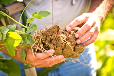 6585 NRCS projects.jpg