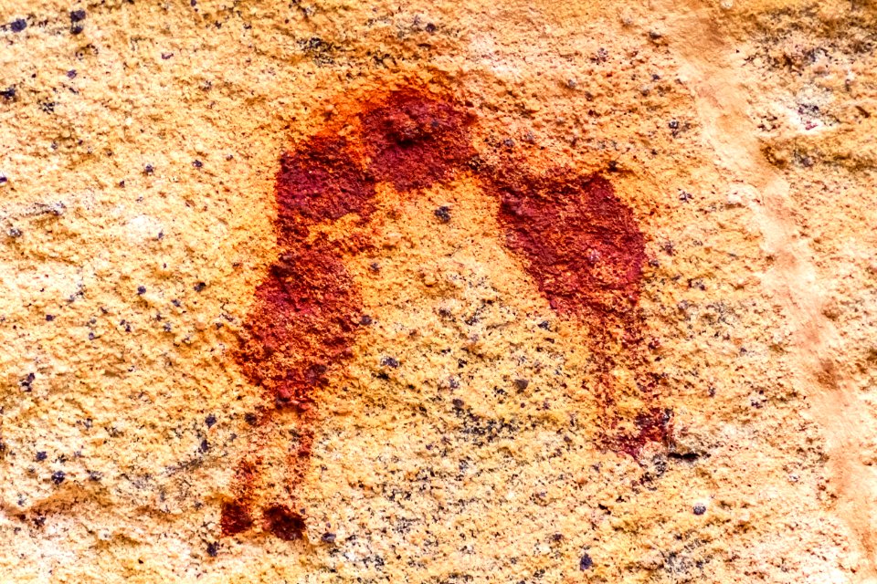 ChicoRasta PinturasRupestresSerraDaCapivara SãoRaimundoNonato PI