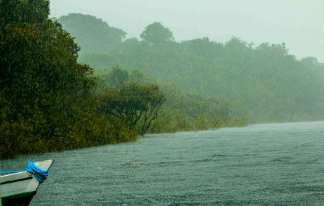 AnaClaudiaJatahy ParqueNacionalDoJau NovoAirao AM