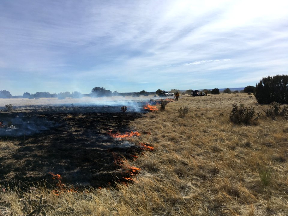 Prescribed Fire in Juniper-invaded Grassland, CO