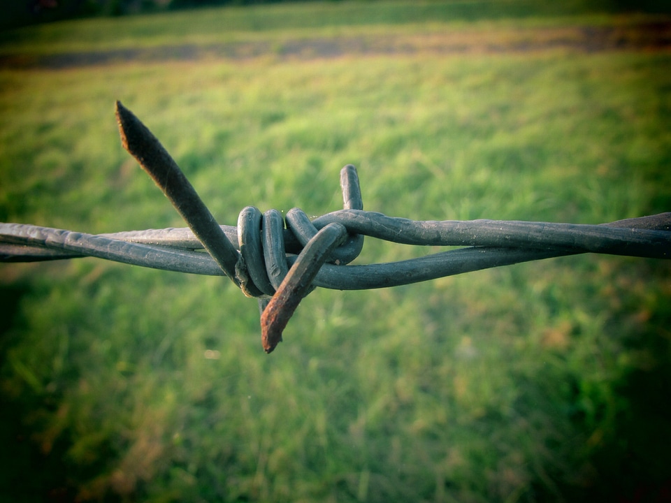 Rust demarcation close up