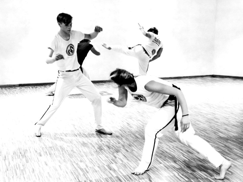 Ideal Capoeira Workshop 2019