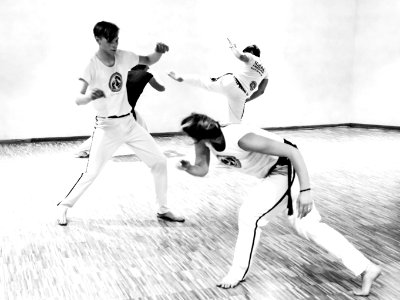 Ideal Capoeira Workshop 2019