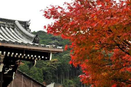 Kyoto