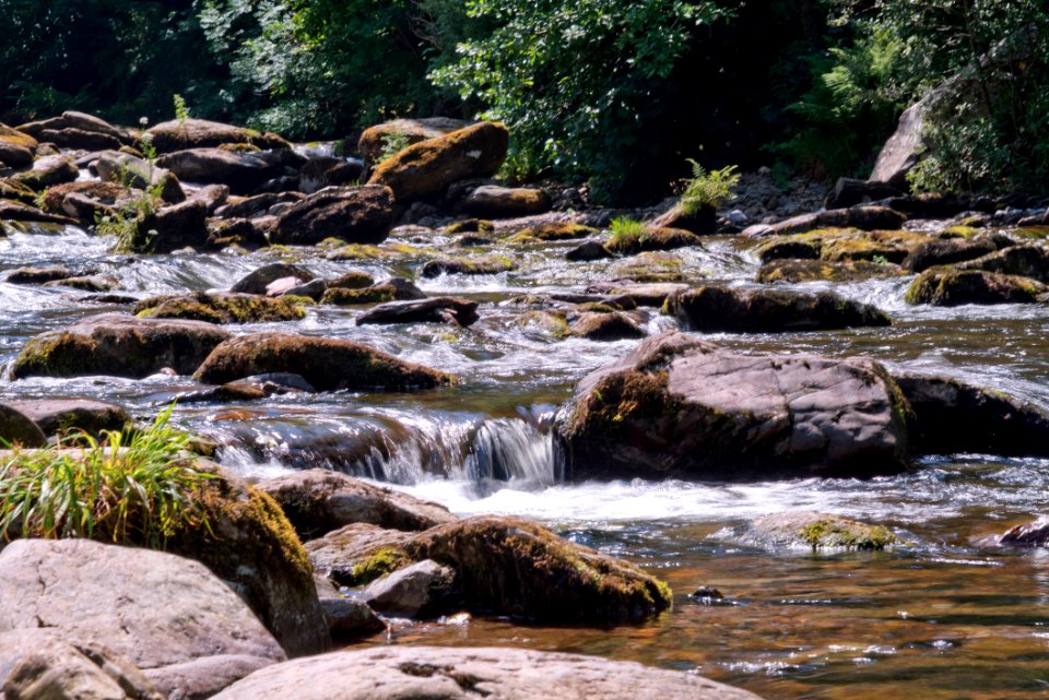 Watersmeet 3