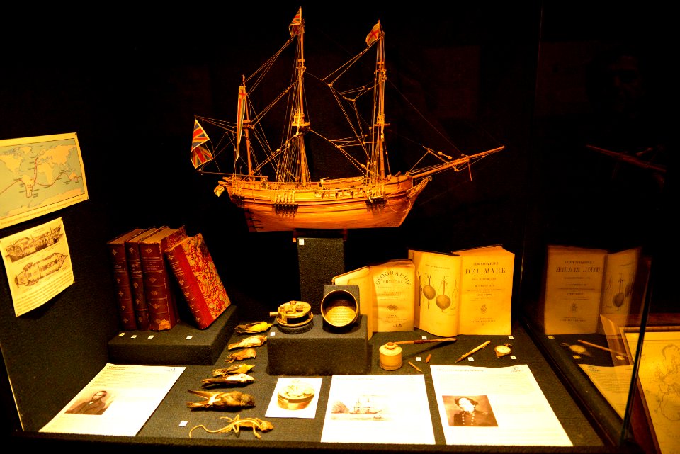Renato Soares Museu Oceanográfico Univali Barneário Piçarras SC