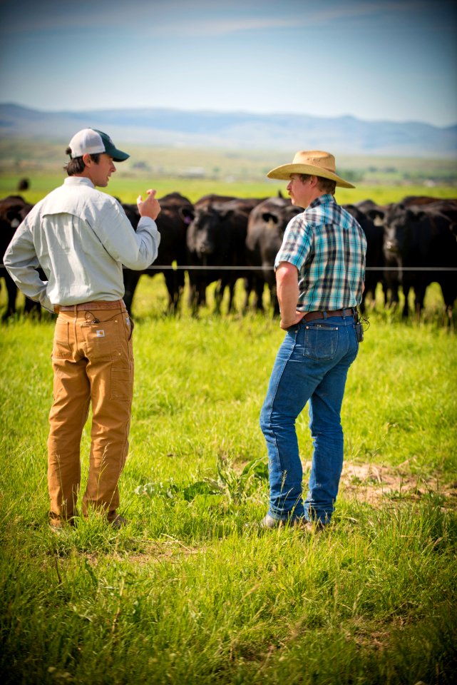 1354 NRCS projects