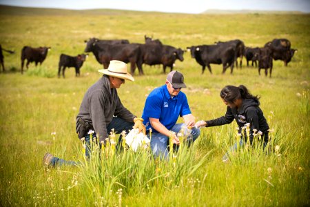 5423 NRCS projects