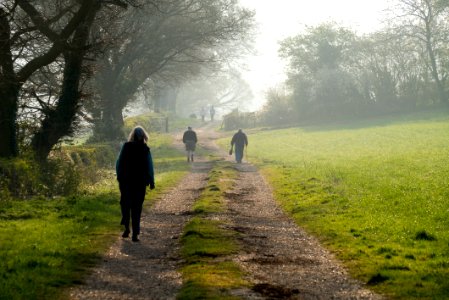 To the farm photo